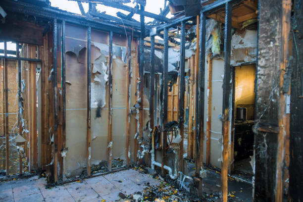 Professional Smoke Damage Removal technician working in Louisiana, MO